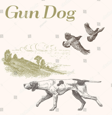 Why Every Working Dog Owner Should Consider Gun Dog Insurance